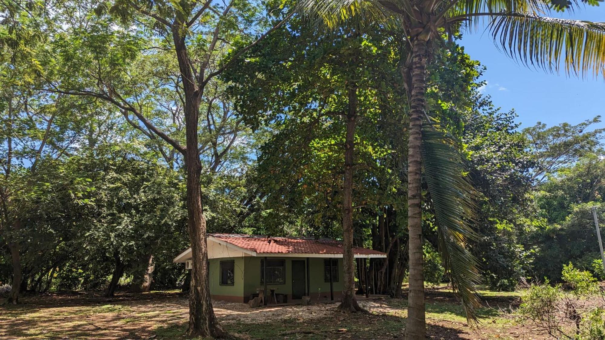 Iguana Street Houses Coco Exterior foto